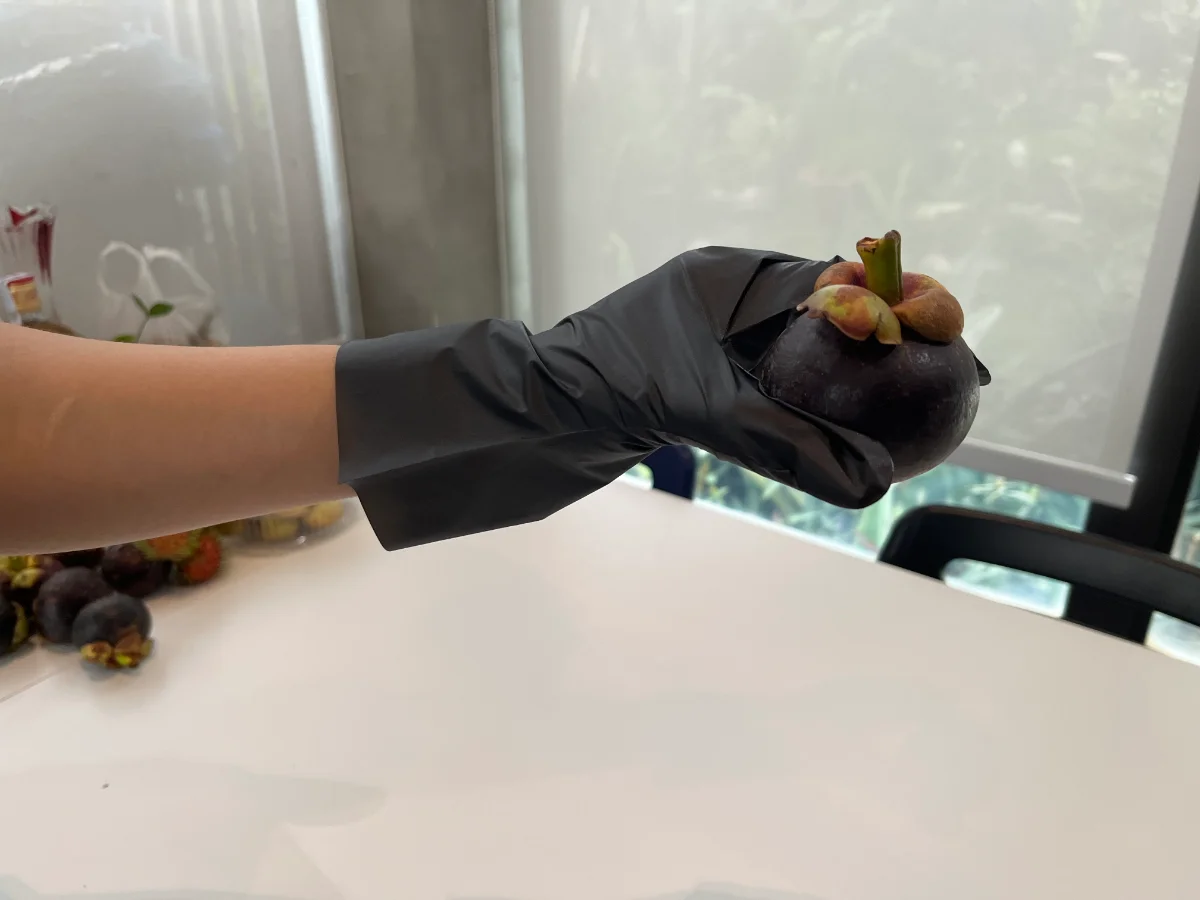 Black Hybrid Lite plastic glove holding a mangosteen – Bags and Gloves